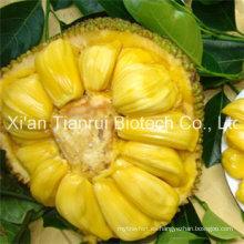 Jackfruit Powder / Jackfruit Juice Powder / Jackfruit Extract Powder